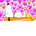 rabaxxxx