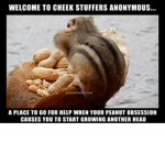 The Chipmunk Clan
