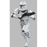 Sentinal Forces