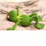 Austin loves kermit