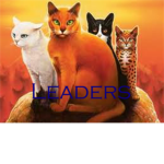 Warrior cat leaders