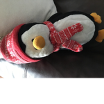 Patsy’s squad of penguins