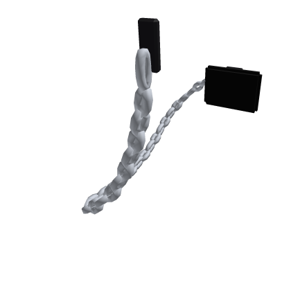 Silver Wallet Chain