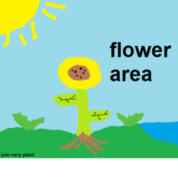 Flower Area