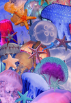 Jellyfishxoxo