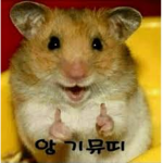 강윈 구독!