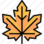 Maple blox studio