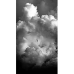 BlackAndWhite/group\