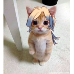 Lily’s de ku’s