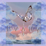 Pvaby Clothing Store