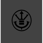 the saiyan foundation