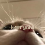 berrychii