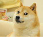 THE DOGGEESS