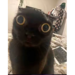 Walter!?!?!?!?