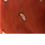 ABCGANG
