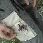 , souvlaki Group Thumbnail