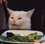 Wald cat