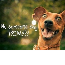 friday rp