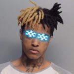 Rex inc