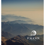 falcon fits <3