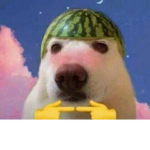 uwu owo 7u7