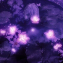 ݁˖ ❀ ⋆｡˚