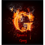 Gavin's gang