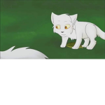 Warrior Cats Fans :3 .