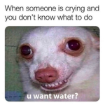 Text2Meme