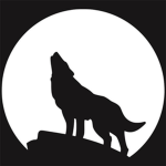 Wolf studios group.