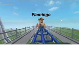 Cart Ride into Flamingo