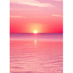 Pink Sunset