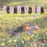 ʚɞ eunoia ʚɞ