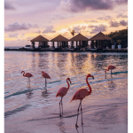 sunset boutique!