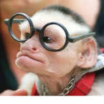 Monkey Development Official