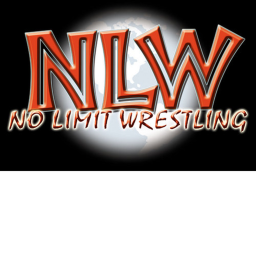 NLW | ELIMINATION CHAMBER ARENA2017!