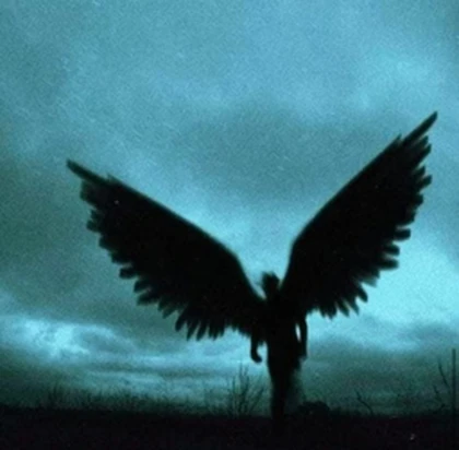 Nocturnal Requiem Roblox group icon