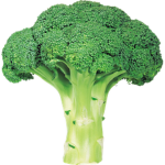 Broccoli Cult