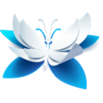 Butterfly Air