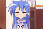 THE DUMMIES