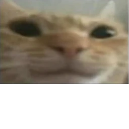 XD icon