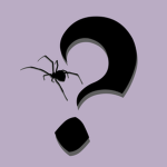 Secret Spider Society