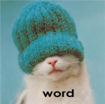 Cool Catz Clan