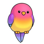 Team_.Bird