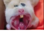 jhvhjhhuiuhg