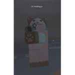 Dream Cataolog