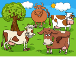 -The Cow Fandom-