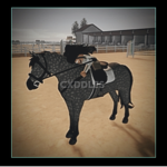 Blue house horses! <3