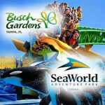 B u s c h gardens Tampa and SeaWorld Orlando
