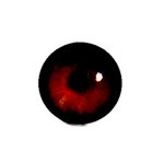 el ojo negro